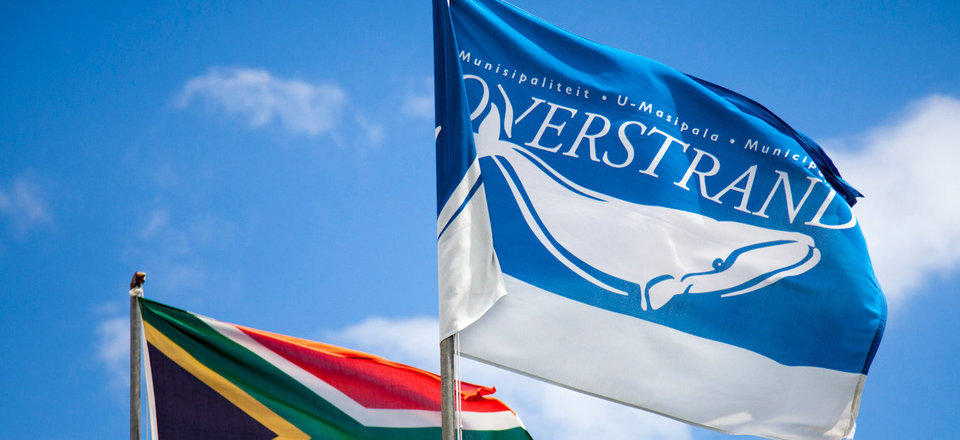 Find all the Public Services in Stanford